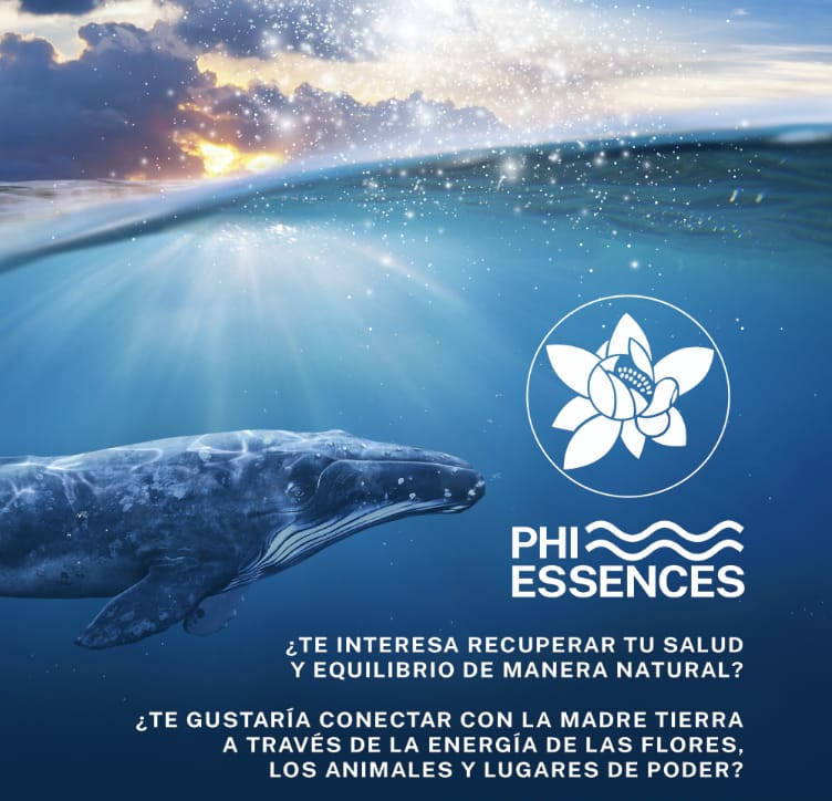 Seminario sobre esencias de animales marinos
