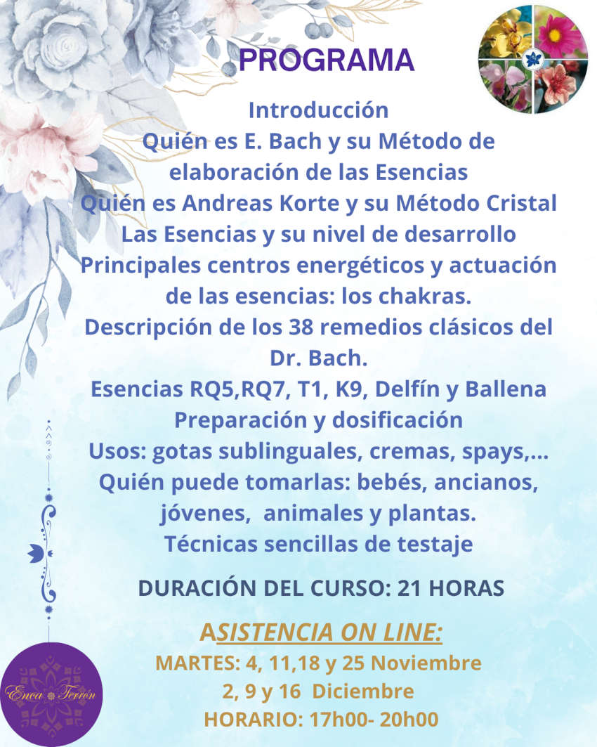 CURSO ON LINE