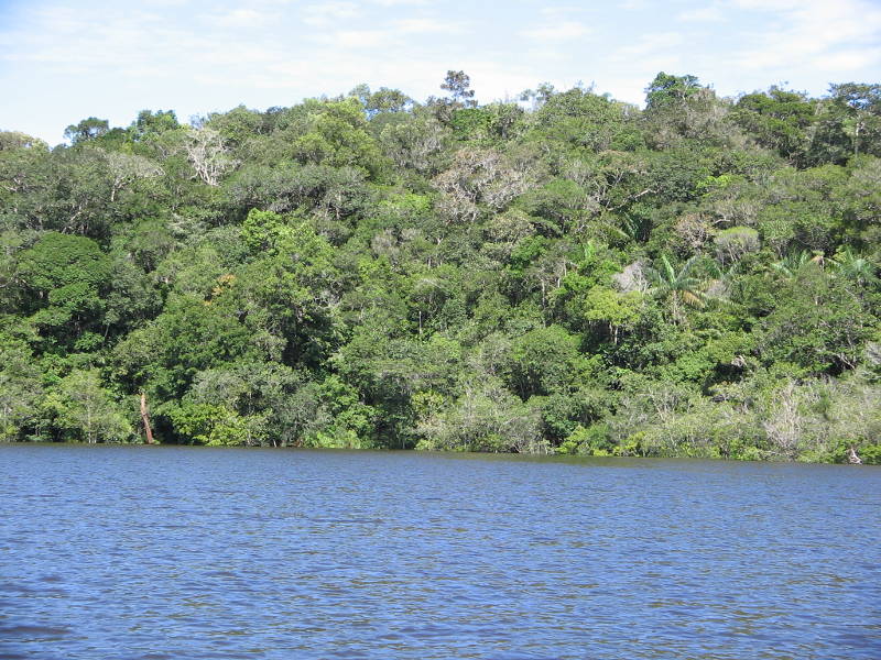 Amazonas