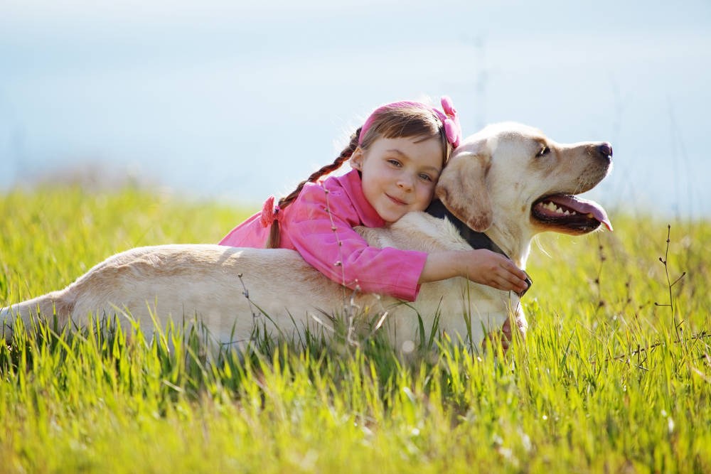 Child with a dog