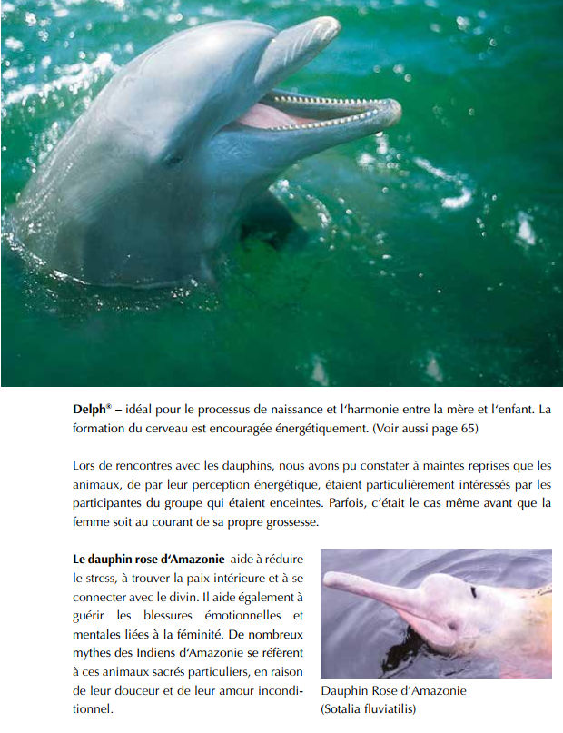 Dauphin