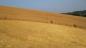 Preview: 152.) Robella, Italien (2013)