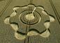 Preview: 160.) Crop Circle Avebury, UK (2014)
