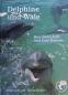 Preview: Dolphin and Whales