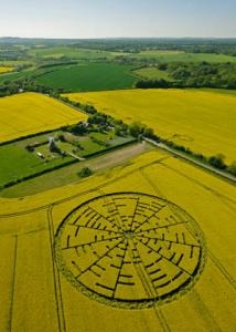 126.) Windmill, Wilton, UK (2010)