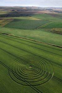 157.) Ridgeway, Avebury UK (2013)