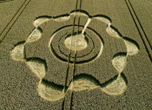 160.) Crop Circle Avebury, UK (2014)