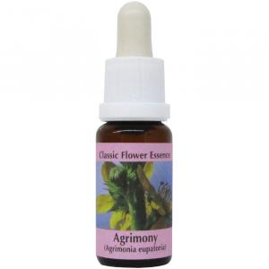 Agrimony