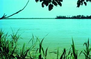 Amazon River