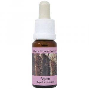 Preview: Aspen - Esp