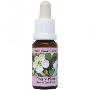 Preview: Cherry Plum