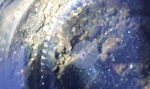 Ocean Essence Nr. 38