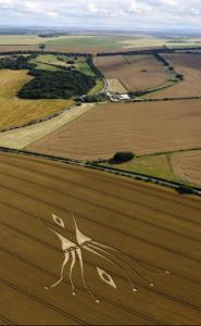 144.) Westwood Lockeridge, UK (2012)