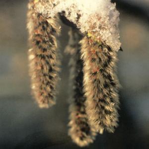 Prüfungsangst überwinden