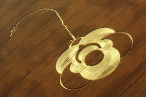 19.) Lotus Flower 1, Beckhampton, UK (1998)