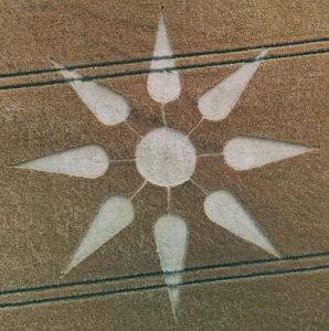 253.) Bondip Hill Somerset, UK 2025