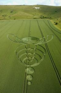 77.) Bee, White Horse, UK (2004)