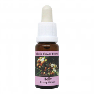 Elixir de Houx - Holly