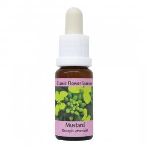 Elixir de Mustard