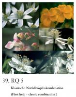 RQ5 - Erste Hilfe Tropfen