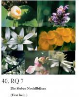 RQ7 - Gotas de primeros auxilios