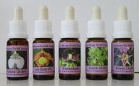 Set Esencias de orquídeas caribeñas 5x15ml